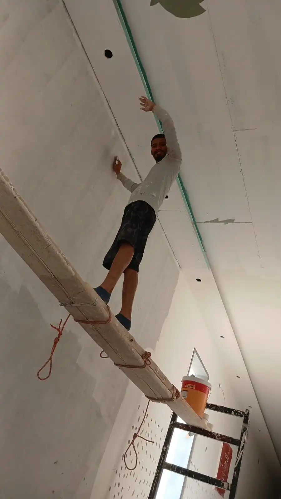 Elite American Paint
